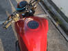 Photo for the classified Honda CBF600 Sint Maarten #1