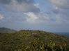 Photo for the classified Land A Batir Sea View: Rice Hill Saint Martin #6