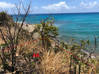 Photo de l'annonce 1633M2 Parcelle de terrain située à Indigo Bay SXM Indigo Bay Sint Maarten #6