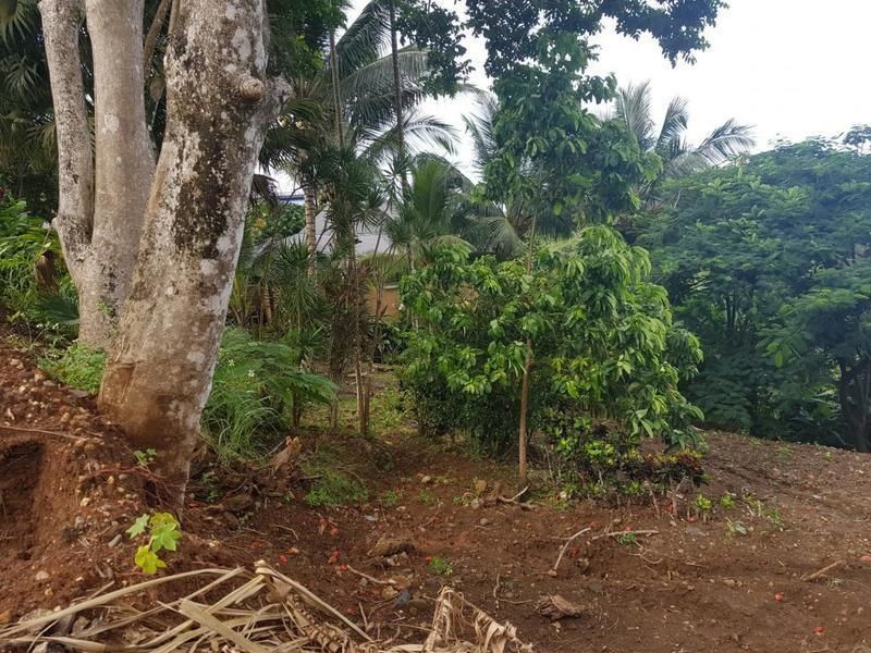 Deshaies terrain vue mer 3607m2 Ventes Terrain Guadeloupe • Cyphoma