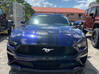 Photo for the classified Ford Mustang 2019 Ecoboost 2.3L Turbocharged Saint Martin #9