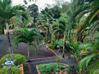 Photo de l'annonce villa de type F5+F3 avec piscine avec... Sainte-Rose Guadeloupe #17