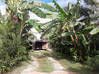 Photo for the classified Bo House 4 bedrooms pool Orient Bay Saint Martin #1