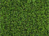 Photo for the classified 30mm synthetic turf Saint Barthélemy #1
