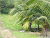 Photo de l'annonce Le Lorrain terrain constructible Le Lorrain Martinique #3