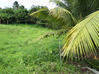 Photo de l'annonce Le Lorrain terrain constructible Le Lorrain Martinique #4