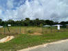 Photo de l'annonce Bois D'Opale Macouria Guyane #2