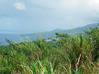 Photo de l'annonce Le Morne Vert terrain de 3 hect 800 Le Morne-Vert Martinique #8