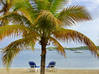 Photo for the classified NettlED Bay - Furnished Studio - 48 sqm Saint Martin #4