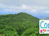 Photo for the classified Exceptional land Saint Martin #3
