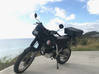 Photo for the classified MUST GO: Honda Dominator NX250 Enduro/Cross Sint Maarten #0