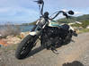 Photo for the classified 2019 Harley-Davidson Sportster 1200 Sint Maarten #1