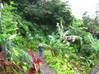 Photo de l'annonce Propriété de forêt tropicale avec une vue Laudat Dominique #7