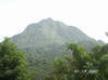 Photo for the classified Rain forest property with a view Laudat Dominica #11