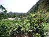 Photo de l'annonce Terrain agricole 40 248 m² Salazie La Réunion #5