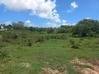 Photo de l'annonce Saint Francois terrains , 4 lots de... Saint-François Guadeloupe #0