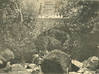 Photo de l'annonce CP Matouba pont de la Rivière Rouge avant 1904 Guadeloupe #0