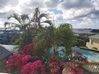 Photo for the classified Almond Grove: property for rent Saint Martin #1
