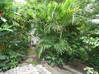 Photo for the classified Charming Almond Grove Villa Almond Grove Estate Sint Maarten #18