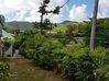 Photo de l'annonce Colombier: jardin privatif et terrasse... Saint-Martin #7
