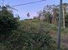 Photo de l'annonce Parcelle de 4008 m2 Const Domaine De... Roura Guyane #2