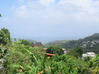 Photo de l'annonce Le Robert maison P3 Vue Panoramique Le Robert Martinique #2