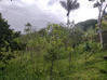 Photo de l'annonce Matoury terrain de 3000m² Matoury Guyane #5