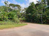 Photo de l'annonce Matoury terrain - Terrain de... Matoury Guyane #0