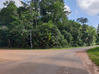 Photo de l'annonce Matoury terrain - Terrain de... Matoury Guyane #2