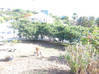 Photo for the classified LOT OF 2 VILLA WITH ST. MARTIN POOL, SXM Mont Vernon Saint Martin #39