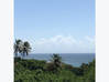 Photo de l'annonce F2 BAS DE VILLA TROIS RIVIERES Trois-Rivières Guadeloupe #2