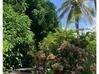 Photo de l'annonce Propriété de 5 villas en bois rouge et... Bouillante Guadeloupe #2