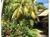 Photo de l'annonce Propriété de 5 villas en bois rouge et... Bouillante Guadeloupe #3