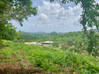 Photo de l'annonce Exclusivité: Terrain à bâtir 800 m2 au Marin Le Marin Martinique #0