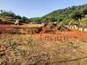 Photo de l'annonce Terrain Constructible Matoury La... Matoury Guyane #1