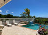 Photo for the classified Magnificent Low-lying villa Terres Basses Saint Martin #0