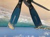Photo for the classified Lost. Pair of cressi fins Saint Martin #0