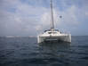 Photo de l'annonce Catamaran Saint-Martin #5