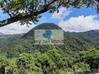 Photo de l'annonce Belle villa F4 vue mer et montagne Le Morne-Vert Martinique #12
