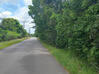 Photo de l'annonce Matoury terrain de 2160m² Matoury Guyane #2