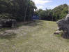 Photo for the classified LAND IN THE LOWLANDS Terres Basses Saint Martin #4