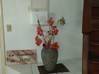 Photo for the classified House/villa 3 rooms Saint Martin #13