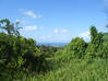 Photo de l'annonce Beau Terrain de 7 570 m² Le Lorrain Martinique #0