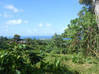 Photo de l'annonce Beau Terrain de 7 570 m² Le Lorrain Martinique #5