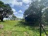 Photo de l'annonce votre villa T5 au bord de la crique... Macouria Guyane #23