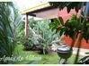 Photo de l'annonce Maison en bois rouge proche Plage +... Deshaies Guadeloupe #3