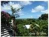Photo de l'annonce Domaine Touristique Haut de Gamme Vue... Sainte-Rose Guadeloupe #1