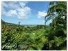 Photo de l'annonce Domaine Touristique Haut de Gamme Vue... Sainte-Rose Guadeloupe #2