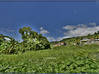 Photo de l'annonce Trois Rivieres - Terrain de 1 327 m² Trois-Rivières Guadeloupe #1