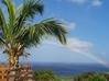 Photo de l'annonce   Deshaies propriété P13 de 304 m² -... Deshaies Guadeloupe #0